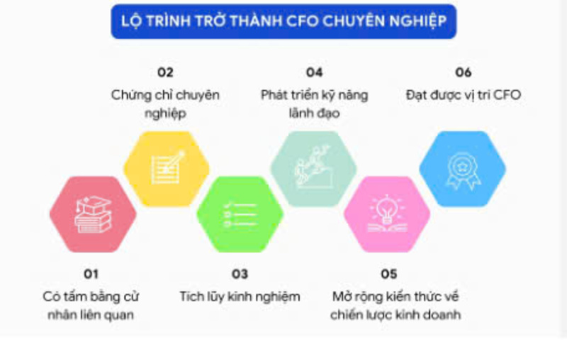 Lộ trình trở thành Chief Financial Officer giỏi