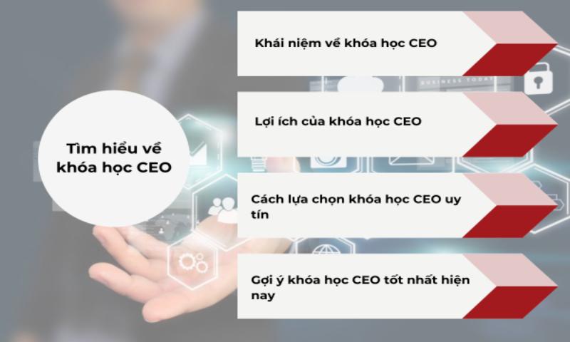 Chương trình đào tạo CEO chuyên nghiệp tại Business One 